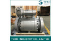 ANSI API6D Forged Steel Flange End Worm Gear Operated Trunnion Ball Valve For Oil & Gas 