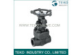 A105N 2 Inch Forged Steel Valves Flange End Conventional Port For Oil Pipe