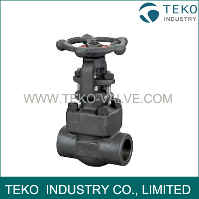 Bolted Bonnet Weld End Forged Steel Valve Bolted Bonnet Weld End Forged Steel Valve