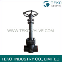 Forged Steel Cryogenic Valve Forged Steel Cryogenic Valve