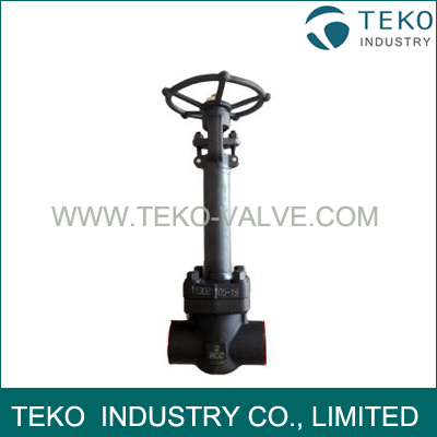 Forged Steel Cryogenic Valve Forged Steel Cryogenic Valve