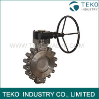 Bray Two Offset Double Eccentric High Performance Butterfly Valve