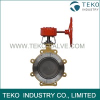 Double Eccentric High Temperature Butterfly Valves With Lug Wafer End CE Certificate