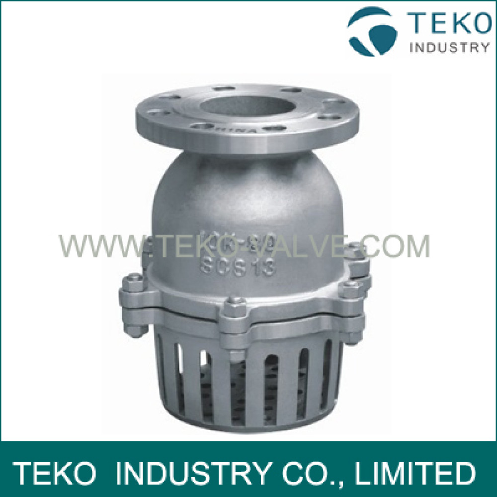 Swing Type Foot Valve
