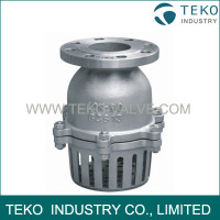 Swing Type Foot Valve Swing Type Foot Valve
