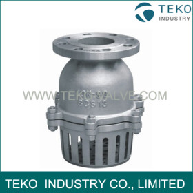 Swing Type Foot Valve