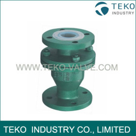 Fluorine Lining Swing Check Valve