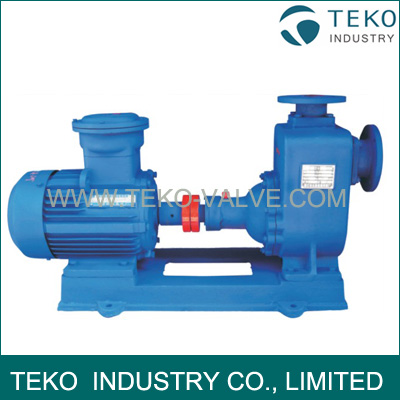 Priming Clean Water Centrifugal Pump Priming Clean Water Centrifugal Pump