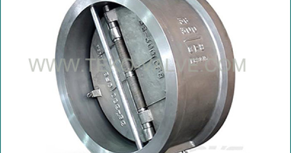 Double-Plate-Flangeless-API594-Standard-Wafer-Check-Valve-For ...