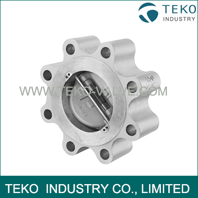 Simple Design Quick Action Maintenance Free API 594 Spring Duo Disc Wafer Check Valve