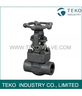 Bolted Bonnet Weld End Forged Steel Valve