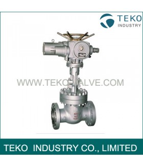 Electric Actuated Flanged End Gate Valve